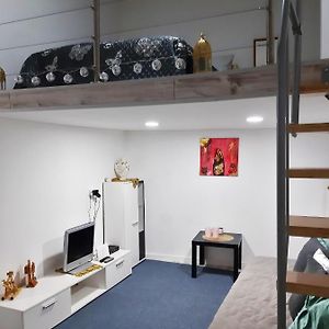 Appartement met een Slaapkamer
